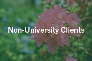 Non university Clients