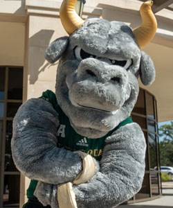 Rocky the Bull