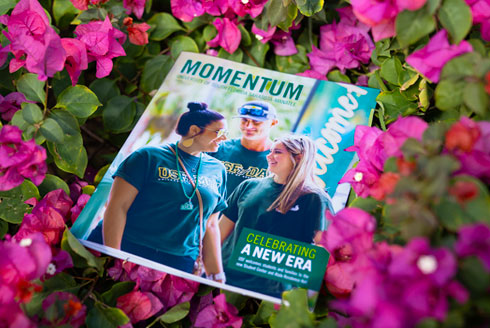 Momentum Cover