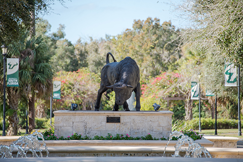 University of South Florida: A Preeminent Research University