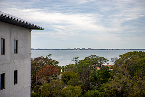 View from residence hall on campus