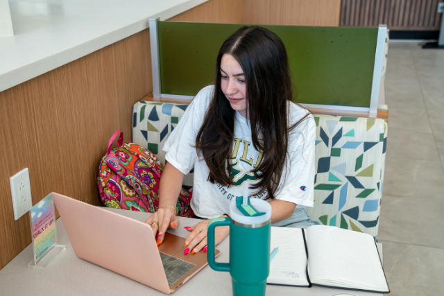 Online programs available through USF Sarasota-Manatee